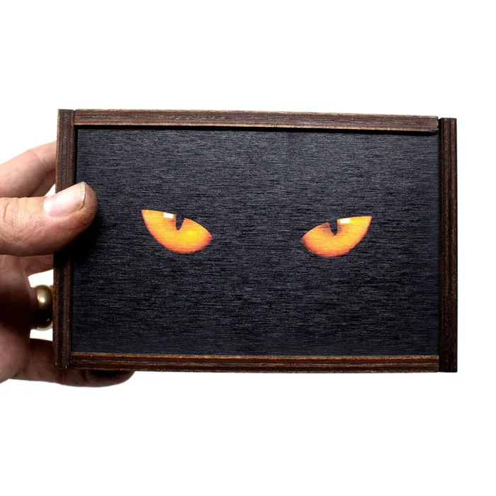 Cat Eyes Full Color Tarot Card Stash Box for CAT LOVERS Most Amazing Necklaces