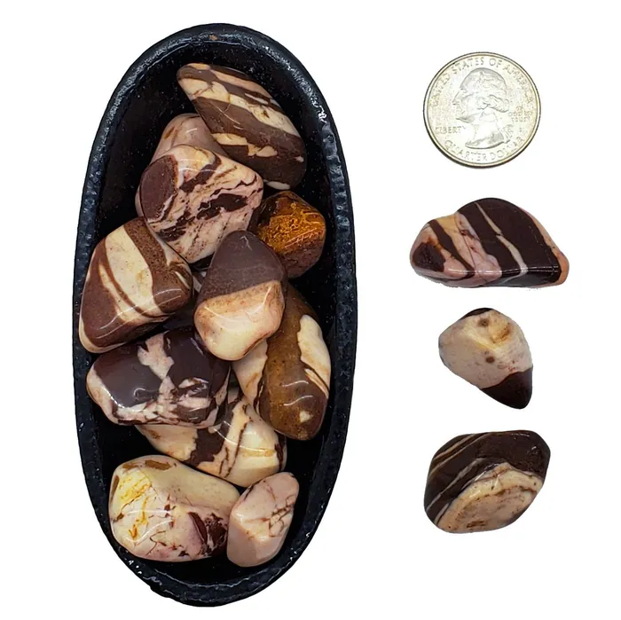 Earrings Jasper Zebra motivating Raiders of the Lost Art