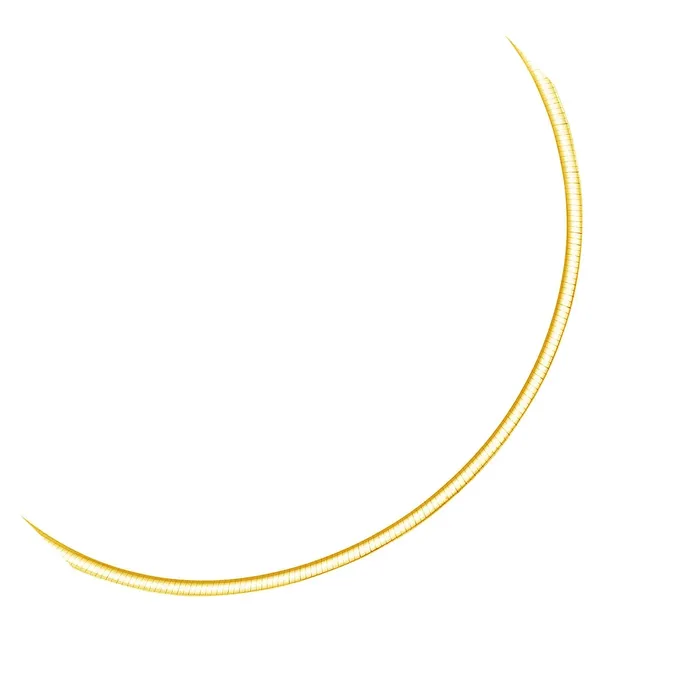 Necklaces MayaMila 30 mm 14k Two Tone Gold Reversible Omega Necklace