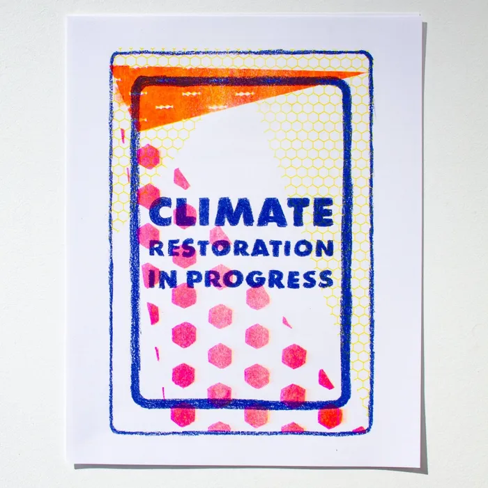 Shortt Editions Earrings Climate Restoration In Progress