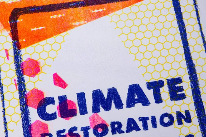 Shortt Editions Earrings Climate Restoration In Progress