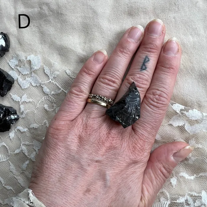 Giardinoblu Rings Silver Shungite Elite Shungite Statement Ring Made to Order 