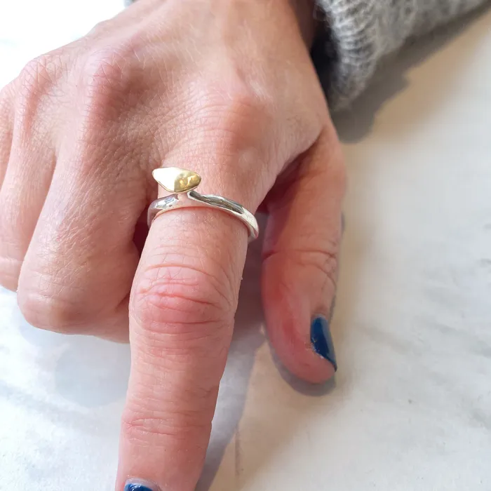Rosa Maria Rosa Maria Sukeina Silver Gold Ring Rings