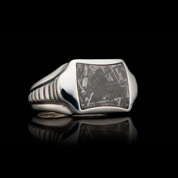 WILLIAM HENRY LLC Meteorite Silver Ring 10 Rings